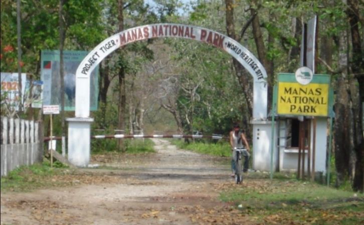 Manas National Park